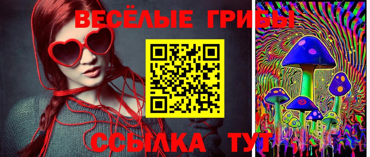 Галлюциногенные грибы Psilocybine cubensis Лыткарино