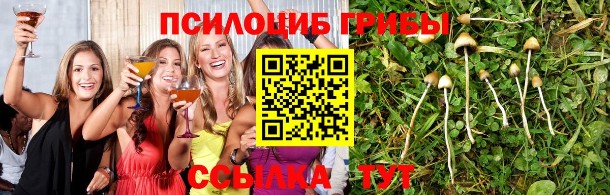 Лыткарино  Псилоцибиновые грибы GOLDEN TEACHER  купить  сайты  Вход с VPN 